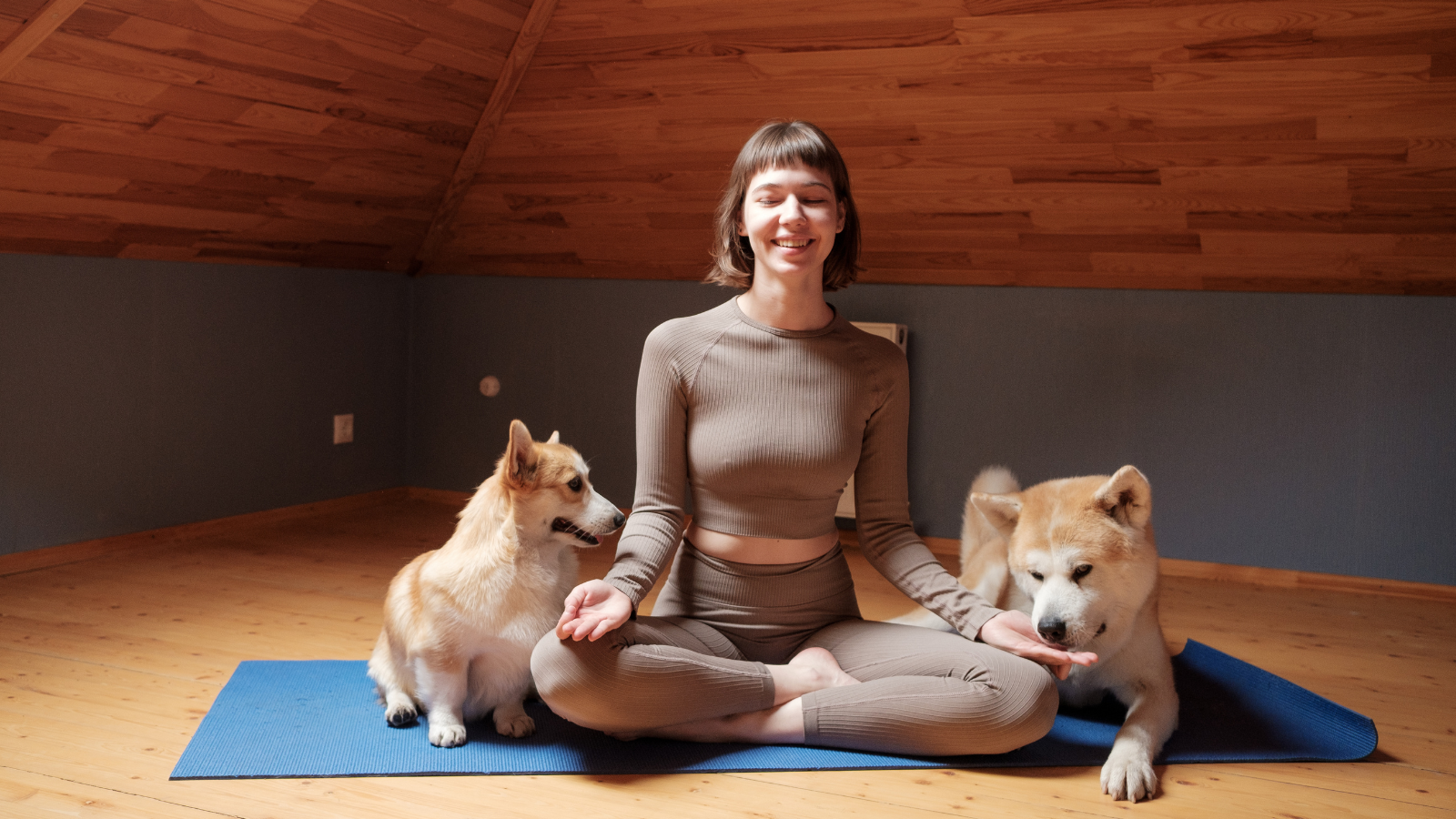 Doga & Kitten Yoga: Refresh Your Mind and Body with Dogs and Cats 🧘