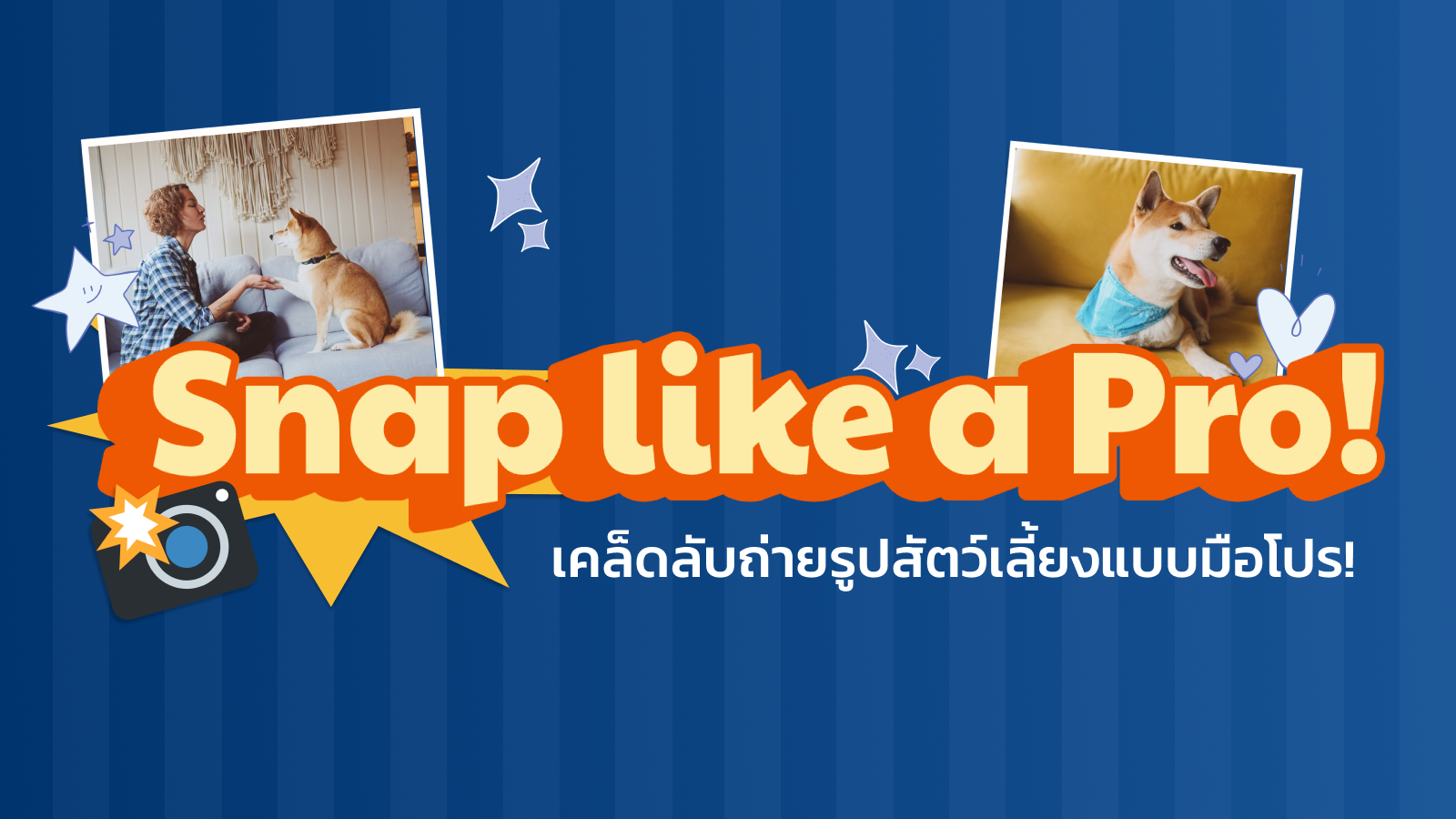 Snap like a Pro! ไอเดียถ่ายรูปสัตว์เลี้ยงง่าย ๆ และเคล็ดลับถ่ายรูปสัตว์เลี้ยงแบบมือโปร!