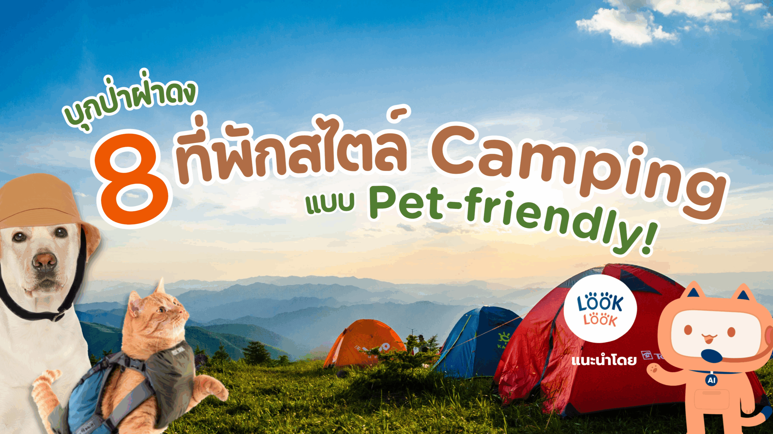 บุกป่าฝ่าดง LOOK LOOK พาเที่ยวธรรมชาติ กับ 8 ที่พักสไตล์ Camping แบบ Pet-friendly!