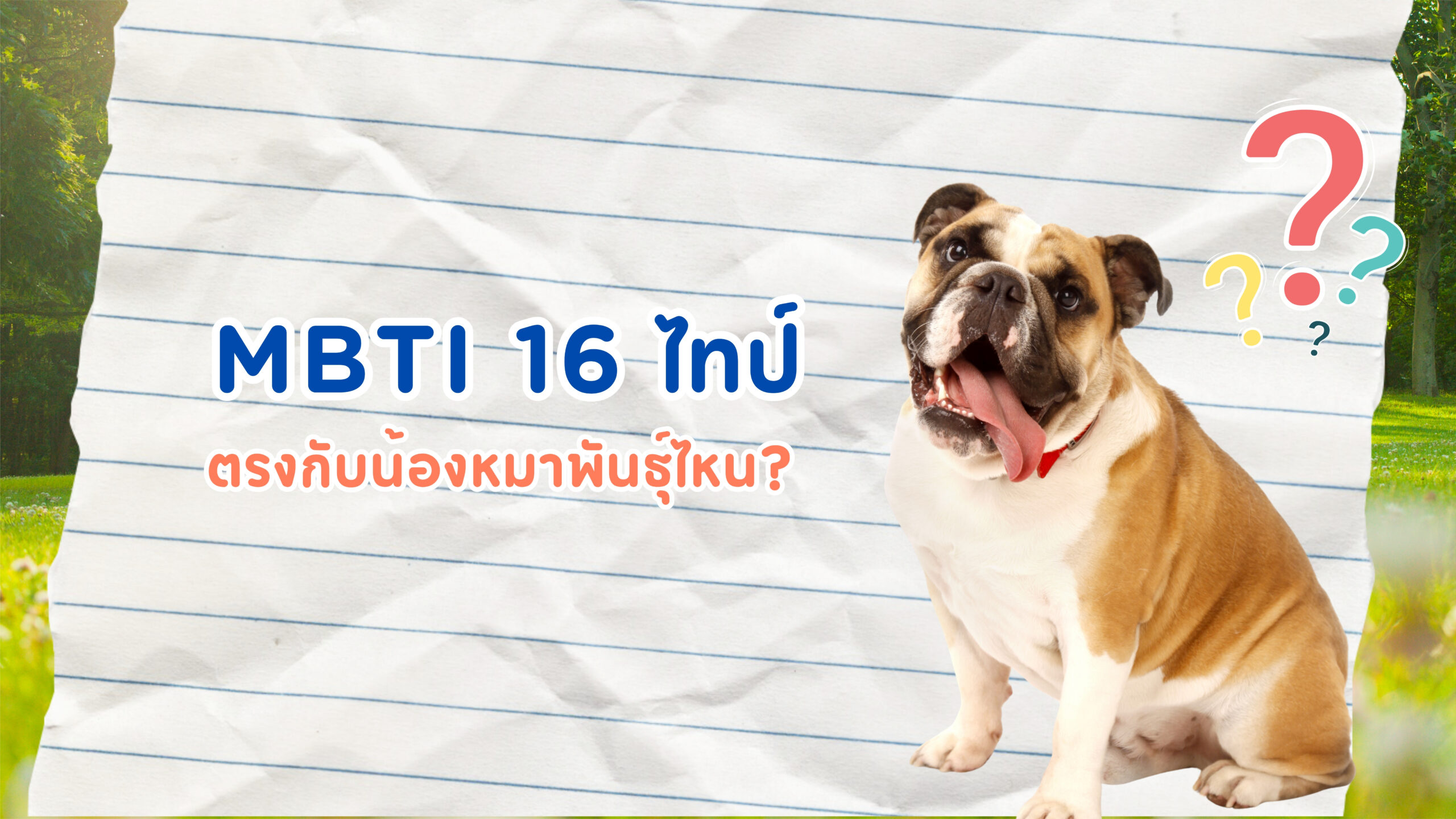 🐶 16 MBTI × 16 สายพันธ์น้องหมา : คุณคือน้องหมาสายพันธุ์อะไร?