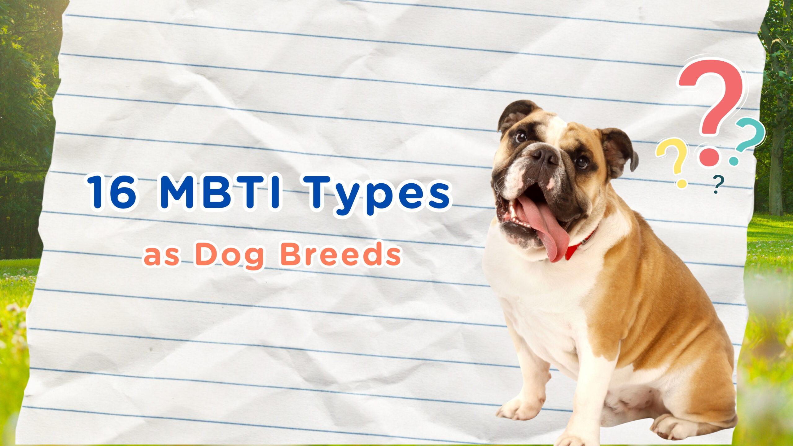 🐶 16 MBTI × 16 Dog Breeds: Which Breed Are You?
